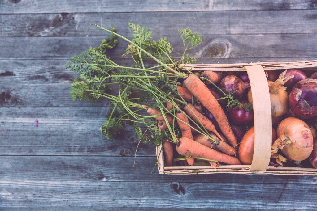 Community gardens, elevated bins, urban agriculture.